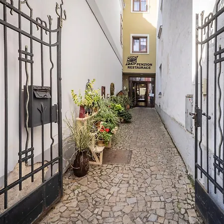 Konukevi Cernej Ptak Jindřichŭv Hradec