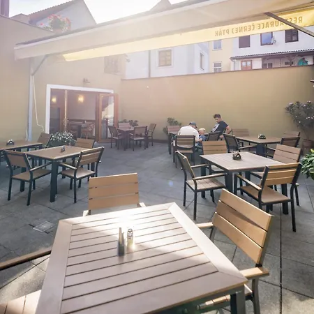 Cernej Ptak Konukevi Jindřichŭv Hradec