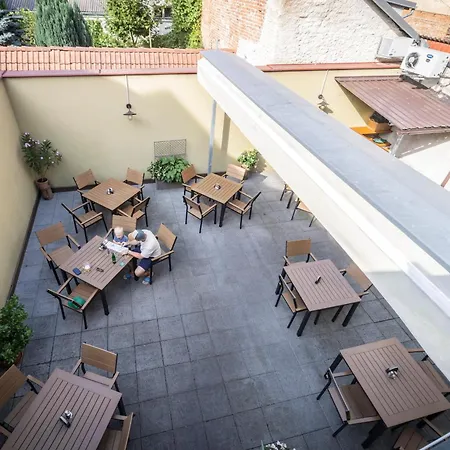 Cernej Ptak Jindřichŭv Hradec