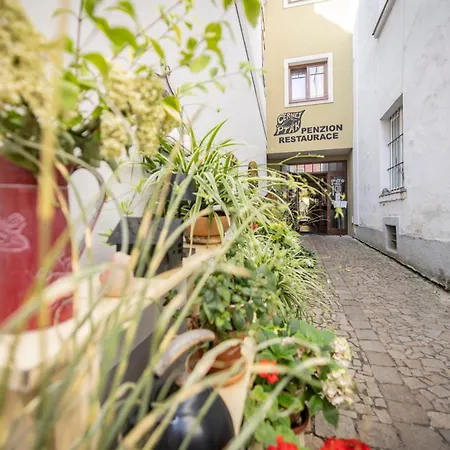 Konukevi Cernej Ptak Jindřichŭv Hradec